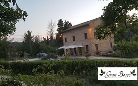 Tenuta Gran Bosco